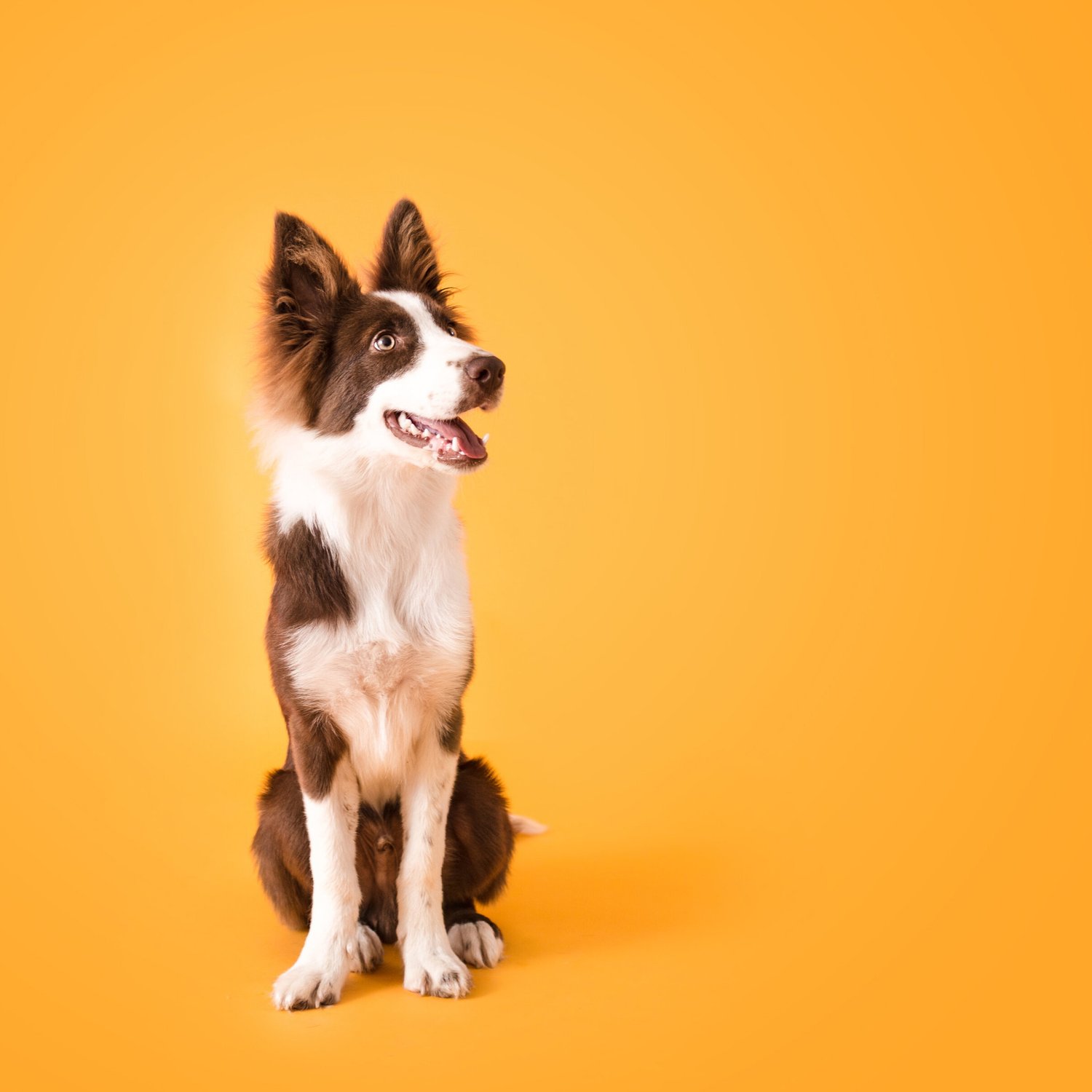 AdobeStock_285349564-C.jpg